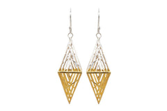 Three-Dimensional Gold And Silver Earrings