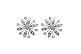 Rani Earrings