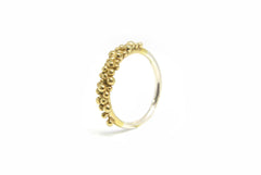 Granulation Wire Ring